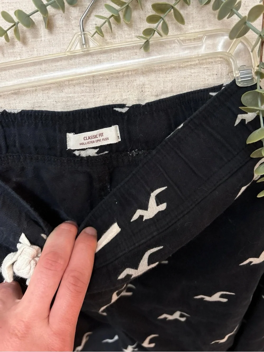 Hollister Black Joggers with White Seagull Print